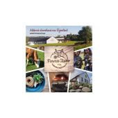 Kampaně na sociálních sítích