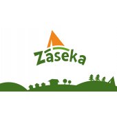 Hravé logo a web pro kemp