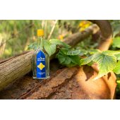 On-line marketing pro silný brand