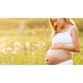 Jemný web, který přenáší život