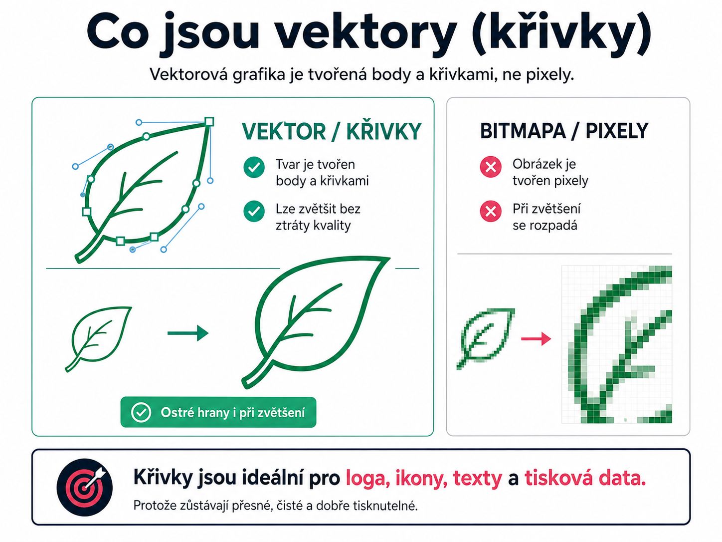 Co jsou vektory a křivky