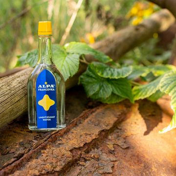 On-line marketing pro silný brand