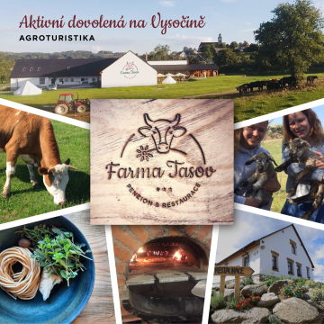 Kampaně na sociálních sítích